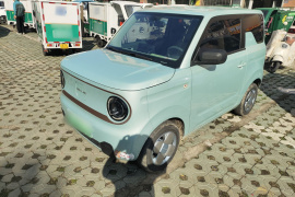 吉利银河 2023款 熊猫mini 200km 耐力熊