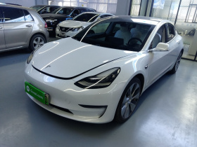 特斯拉 Model 3(进口) 2019款 Performance高性能全轮驱动版