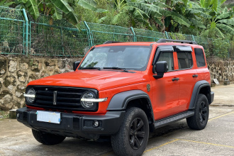 坦克300 2021款 越野版 2.0T 征服者