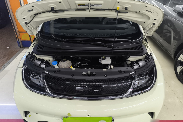 比亚迪 海豚 2023款 420km 自由版机舱底盘24