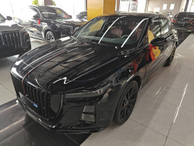 红旗H5 2025款 2.0T 自动玄影200万辆纪念版