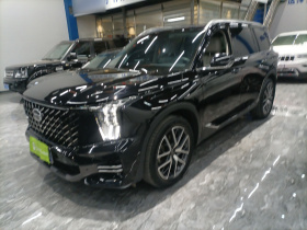 广汽传祺 传祺GS8 2022款 领航系列 2.0TGDI 两驱豪华智联版（七座）