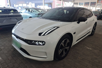 极氪001 2023款 WE版 100kWh