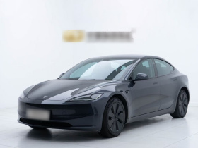 特斯拉 Model 3 2023款 后轮驱动版