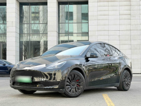 特斯拉 Model Y 2021款 标准续航后驱版