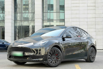 特斯拉 Model Y 2021款 标准续航后驱版