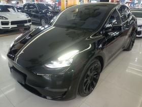 特斯拉 Model Y 2021款 长续航全轮驱动版