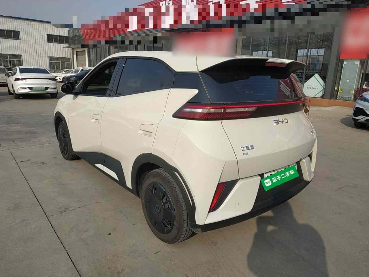 比亚迪 海鸥 2025款 智驾版 305km 活力版(3)