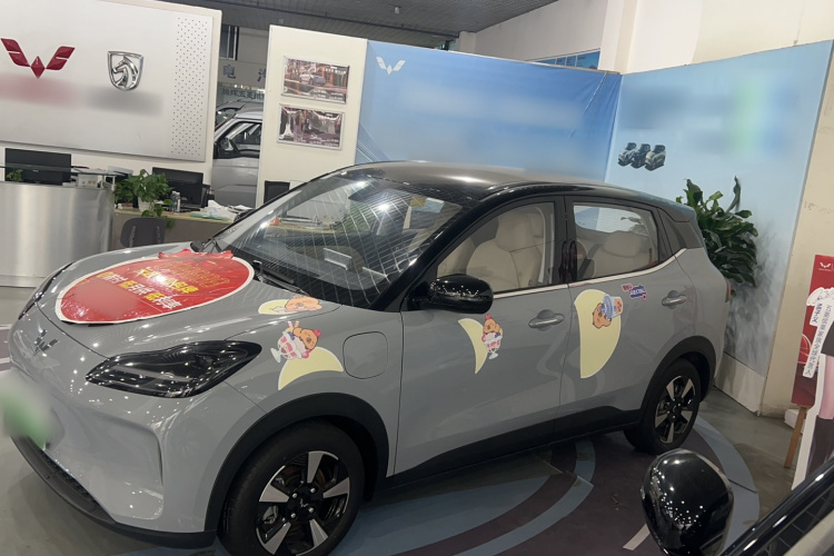 五菱汽车 五菱缤果PLUS 2024款 401km 五座版车身外观6005