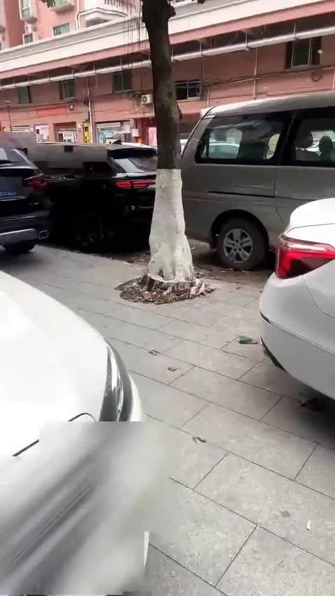 零跑汽车 零跑C11 2023款 增程 300舒享版讲解1