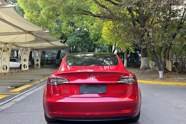 特斯拉 Model 3 2019款 标准续航后驱升级版车身外观6004