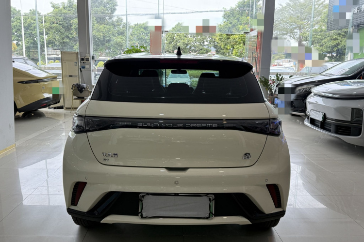 比亚迪 海豚 2021款 405km 自由版车身外观6009