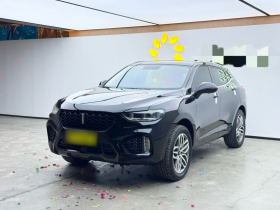 魏牌 VV5 2019款 升级款 2.0T 两驱超豪型 国V