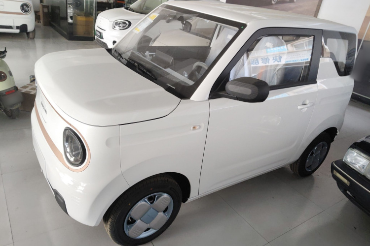 吉利银河 2024款 熊猫mini 200km 耐力熊车身外观6003