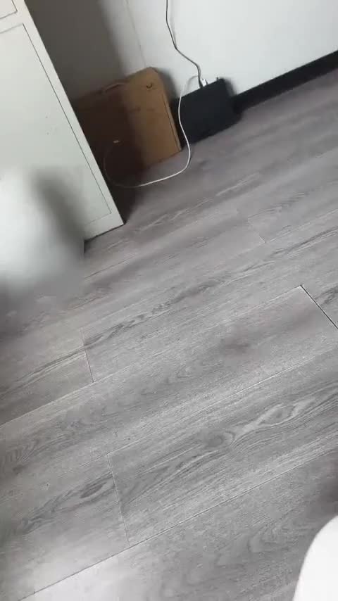 吉利汽车 缤越 2019款 运动款 260T DCT游侠 国VI讲解2