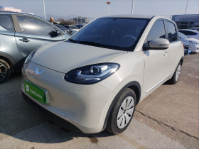 五菱汽车 五菱缤果 2023款 203km 轻享款