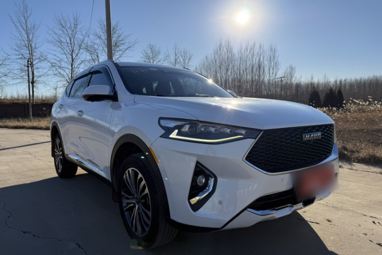 哈弗F7 2019款 2.0T 两驱i范 国V车身外观6007