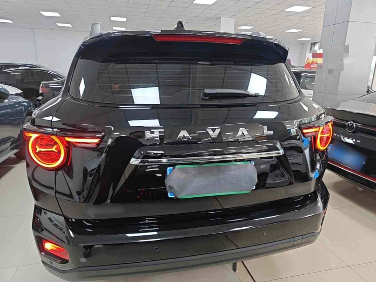 哈弗大狗 PLUS 2023款 1.5T 两驱潮野版Plus(4)