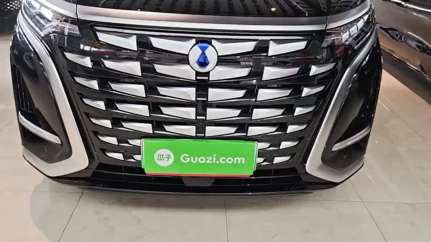 腾势D9 2024款 DM-i 1050 尊享型实拍1