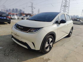 比亚迪 海豚 2023款 420km 时尚版