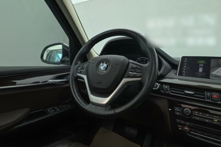 宝马X5(进口) 2018款 xDrive28i局部细节13