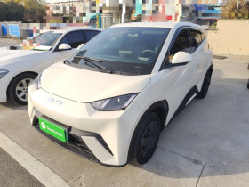 比亚迪 海鸥 2025款 305km 活力版