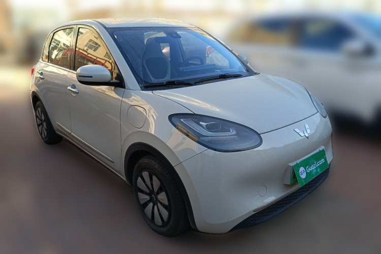 五菱汽车 五菱缤果 2023款 203km 舒享款车身外观3