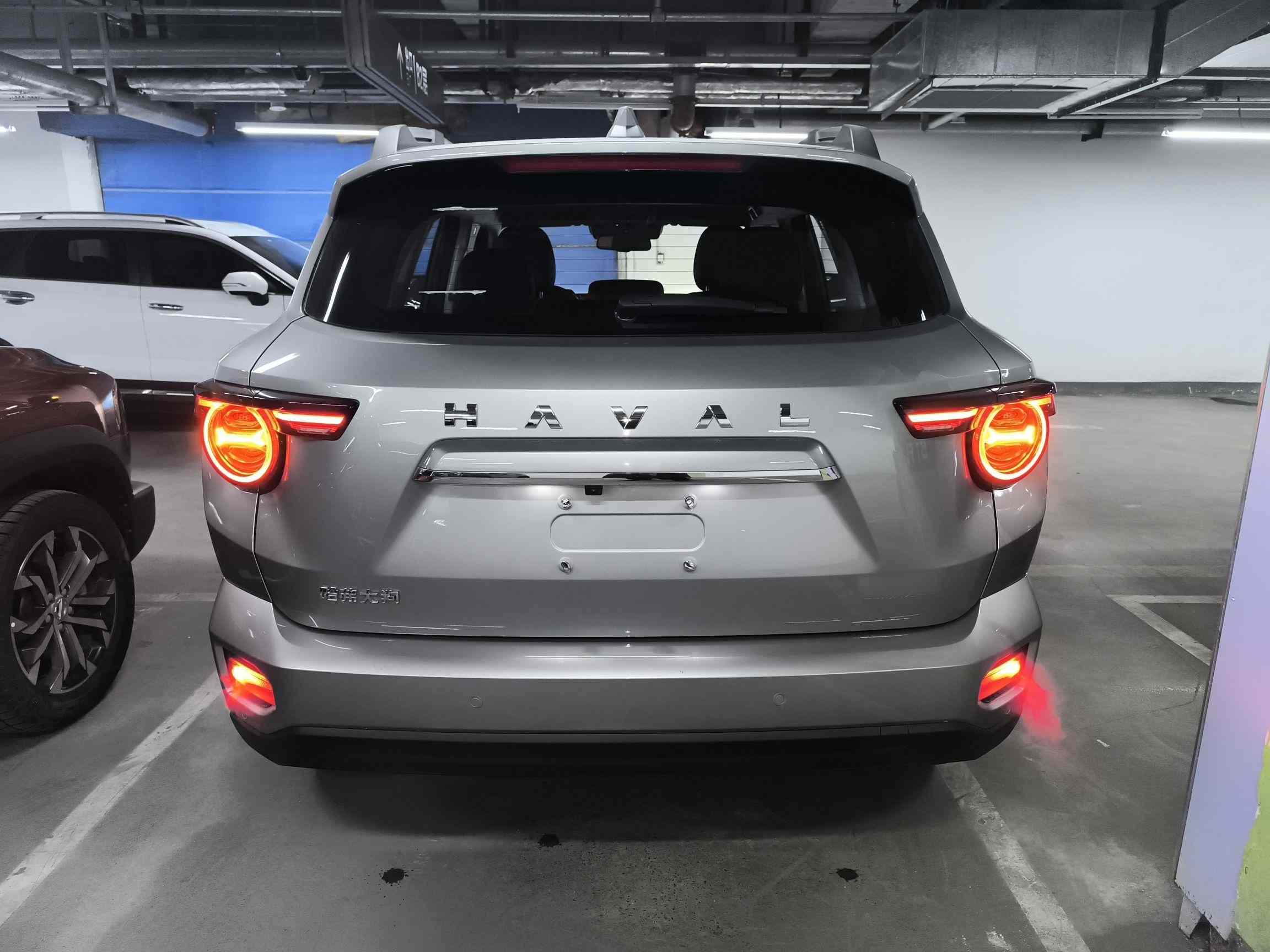 哈弗大狗 PLUS 2023款 2.0T 两驱潮野版Plus(4)