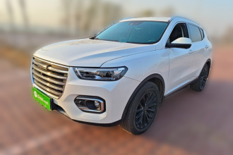 哈弗H6 2020款 2.0GDIT 自动铂金豪华版