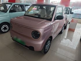 吉利银河 2024款 熊猫mini 200km 耐力熊