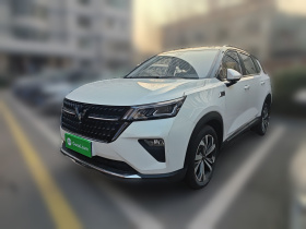 五菱汽车 五菱星辰 2022款 2.0L DHT电速款