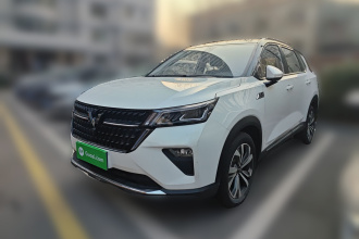 五菱汽车 五菱星辰 2022款 2.0L DHT电速款