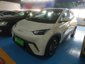 比亚迪 海鸥 2025款 305km 自由版