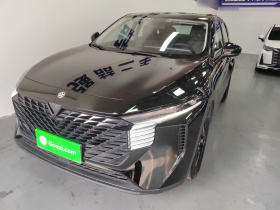 启辰大V 2022款 260T 黑马版·爱豆