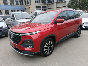 宝骏530 2021款 全球车周年纪念版 1.5T 手动豪华型 7座