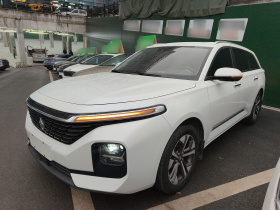 宝骏Valli 2021款 1.5T 那曲繁星 CVT旗舰型