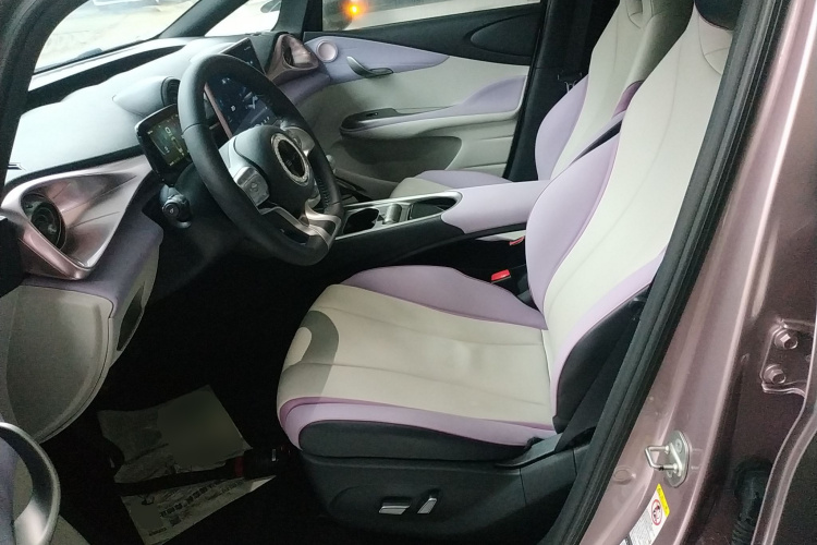 比亚迪 海豚 2021款 405km 时尚版局部细节19