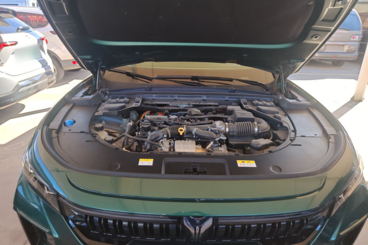 岚图汽车 岚图FREE 2024款 超长续航智驾版机舱底盘24