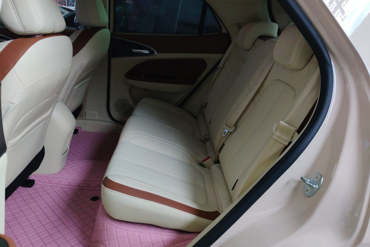 欧拉好猫 2023款 401km标准续航 豪华型 磷酸铁锂中控内饰21