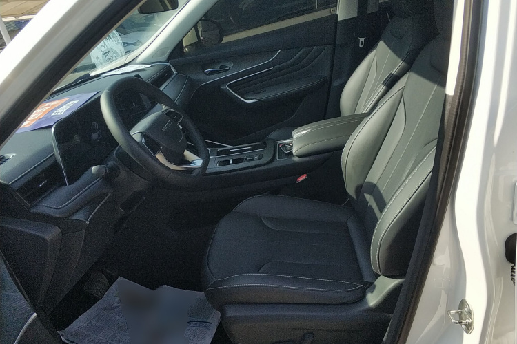 启辰大V DD-i 2023款 110km iE版中控内饰19