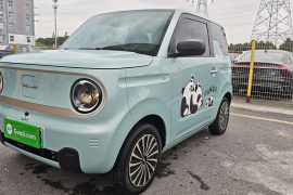 吉利银河 2023款 熊猫mini 200km 灵动熊