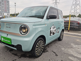 吉利银河 2023款 熊猫mini 200km 灵动熊
