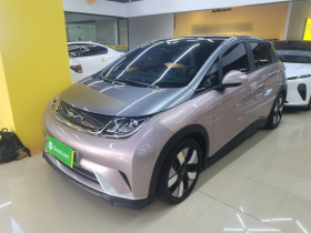 比亚迪 海豚 2021款 401km 骑士版