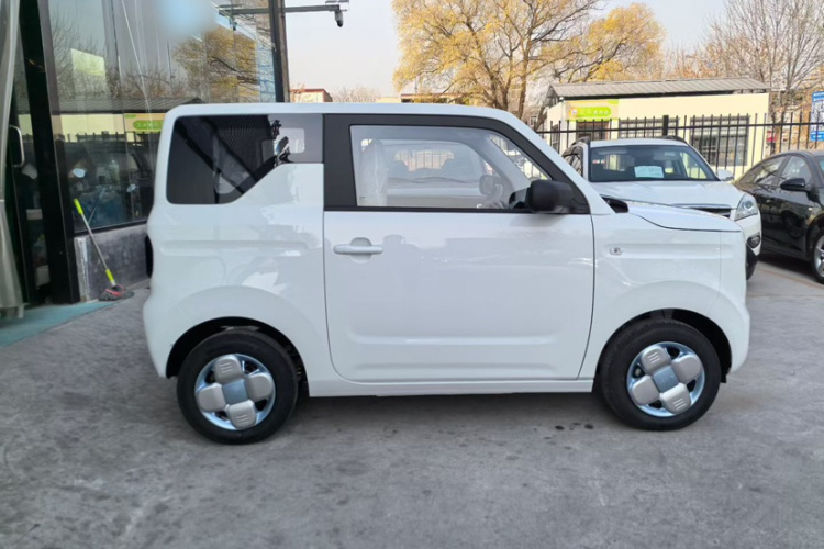 吉利银河 2024款 熊猫mini 200km 耐力熊车身外观6004