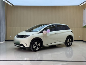 比亚迪 海豚 2023款 420km 时尚版