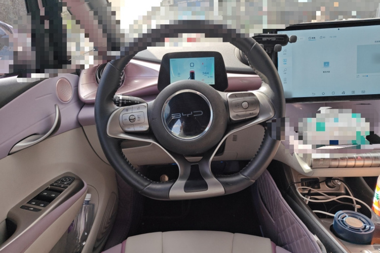 比亚迪 海豚 2021款 401km 骑士版中控内饰13