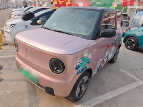 吉利银河 2023款 熊猫mini 200km 灵动熊