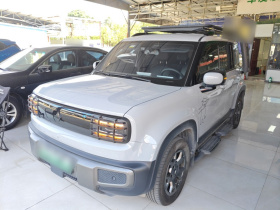 宝骏悦也Plus 2024款 旗舰版 4座