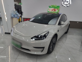 特斯拉 Model 3 2022款 后轮驱动版