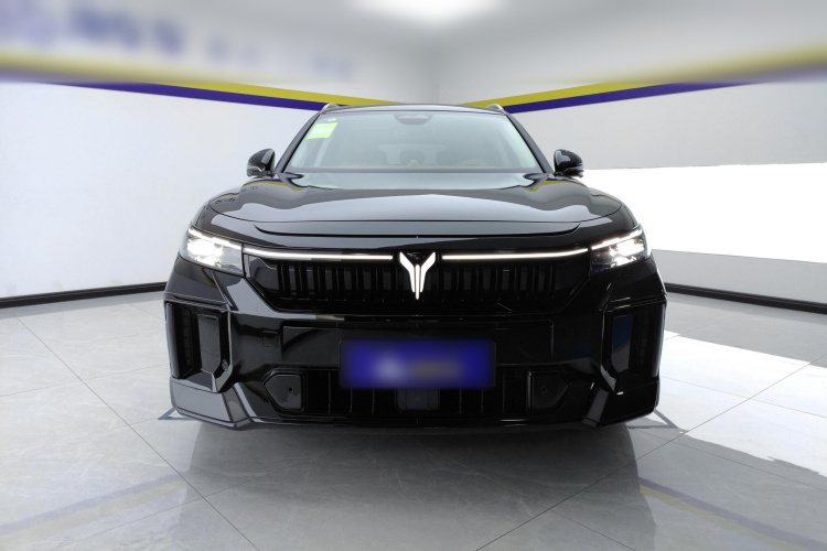 岚图汽车 岚图FREE 2024款 超长续航智驾版车身外观2